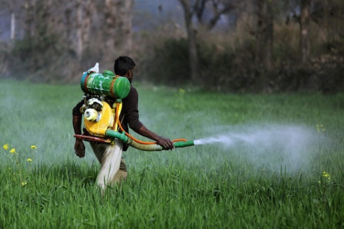 A Farmer Using Pesticide in the His Field