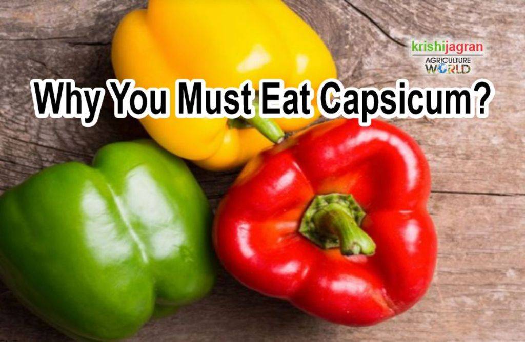 Know The Benefits Of Eating Capsicum Once A Week