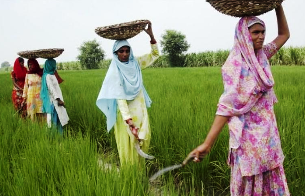 mahila kisan