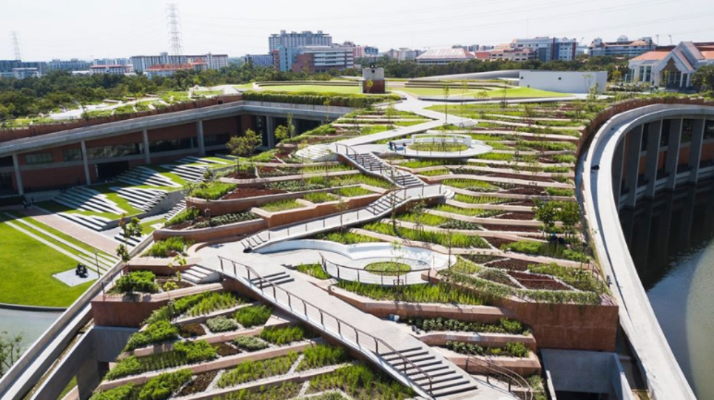 rooftop farm