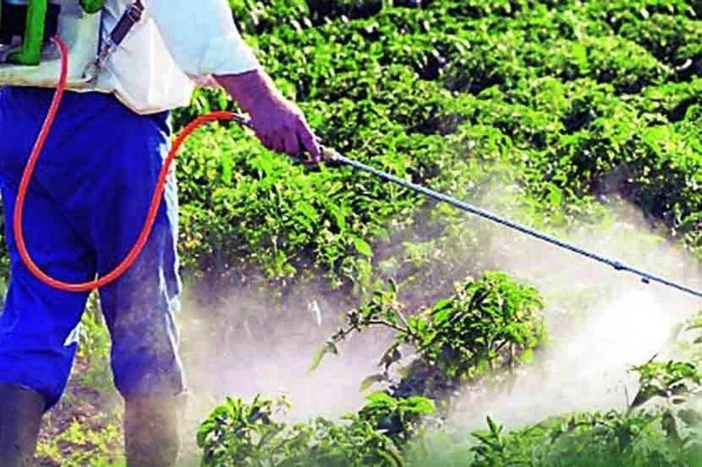 images of insecticides and pesticides