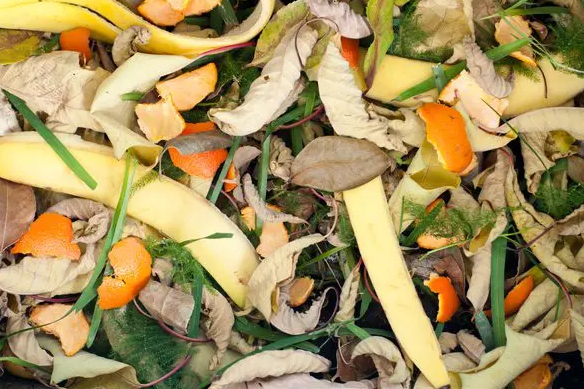 mixed vegetable peel