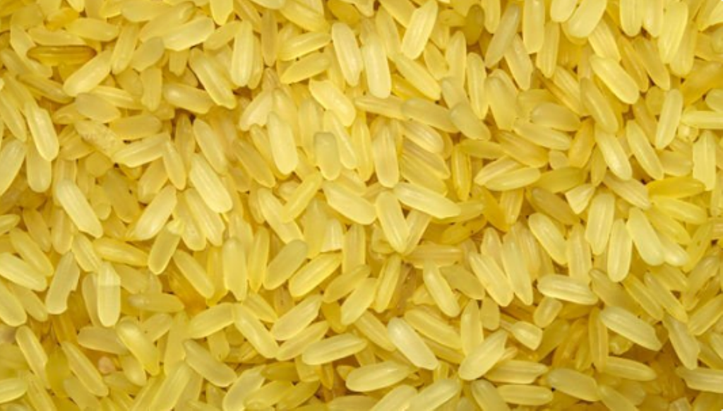 golden rice