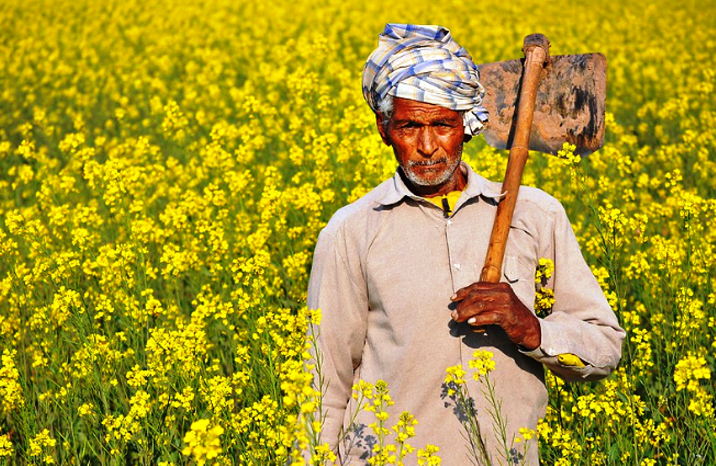 farmers