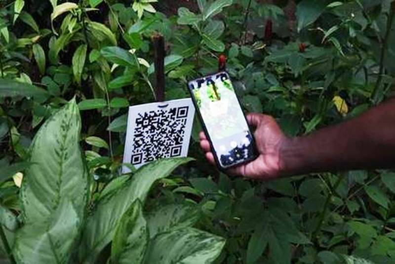 QR Code plants