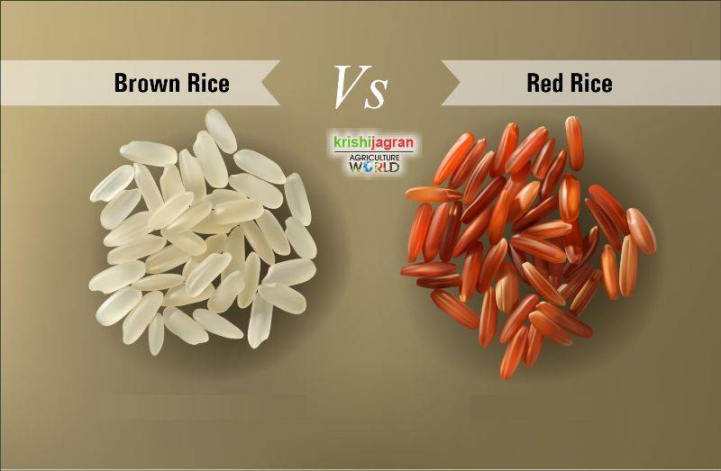 start-eating-red-rice-today-to-get-these-surprising-health-benefits