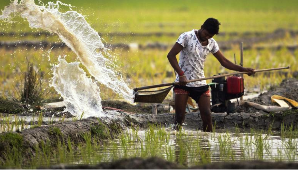 SBI Agriculture Loans: Here's How You Can Get Different ...