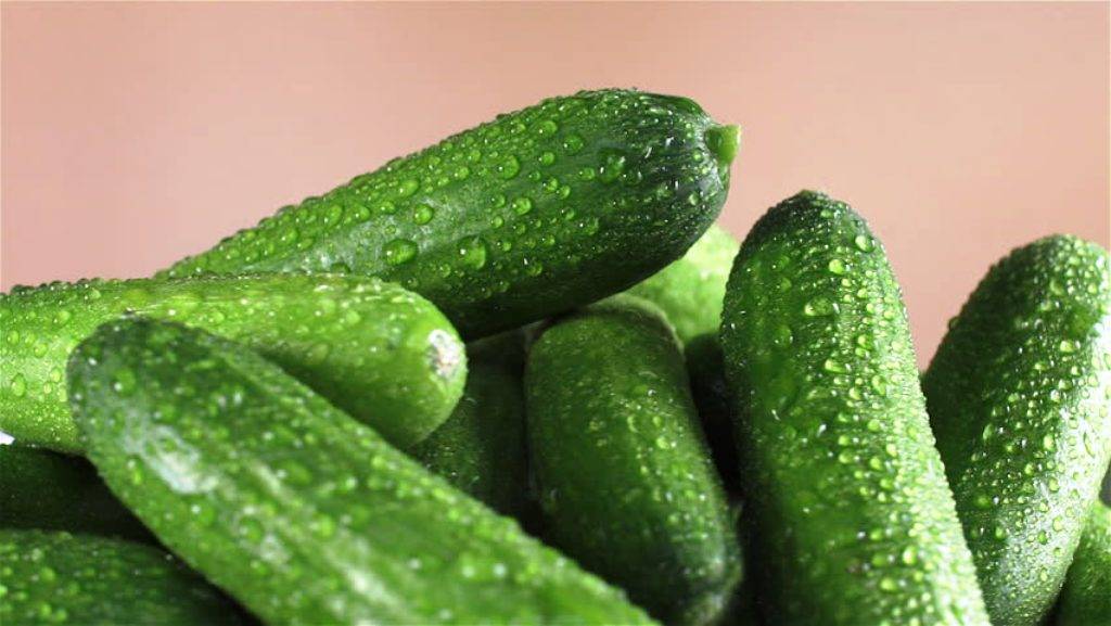 Fresh cucumber