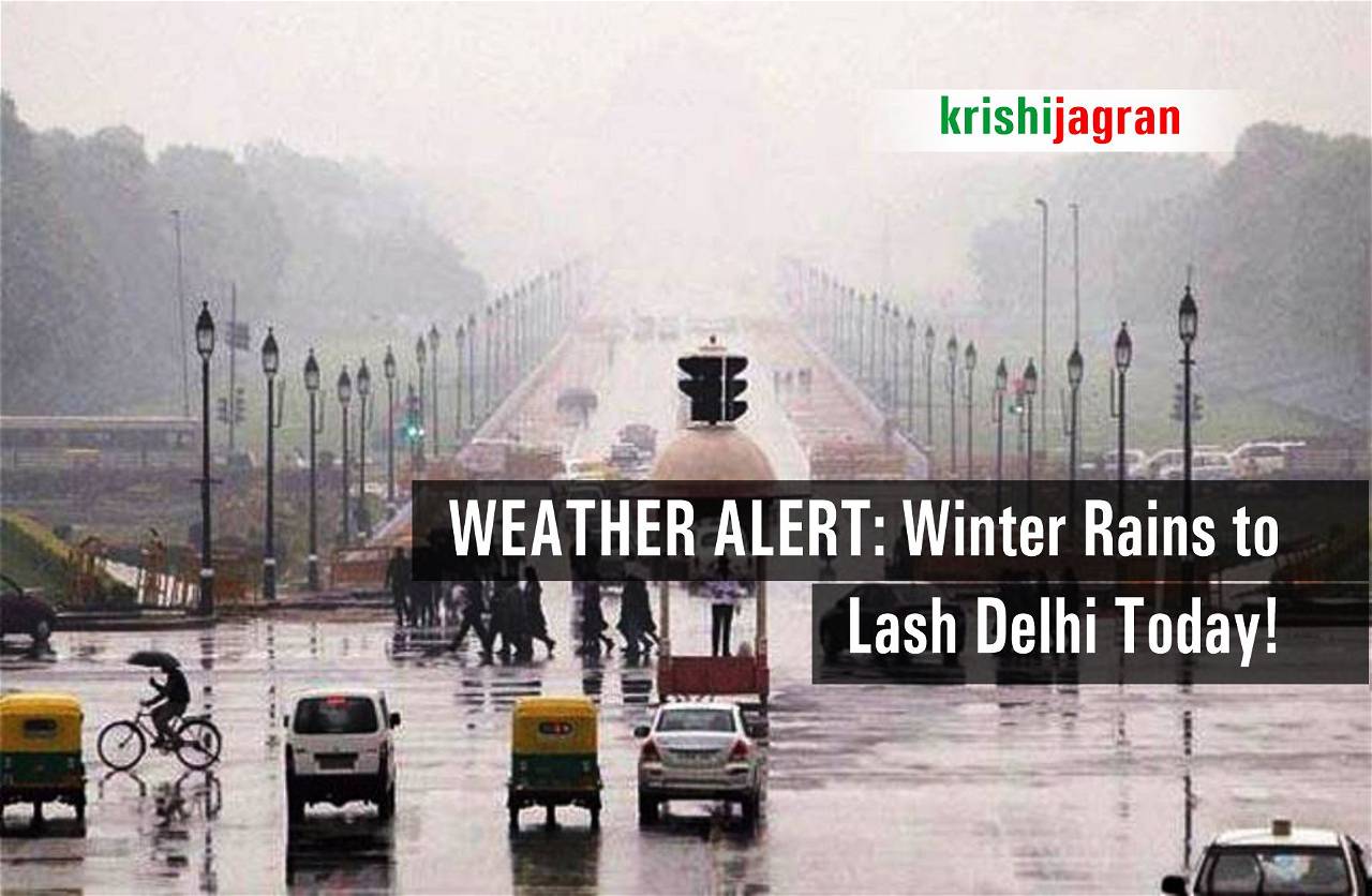 Weather Report Rains and Thundershower in DelhiNCR Today, Temperature