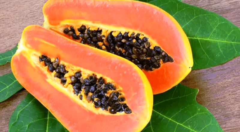 Papaya