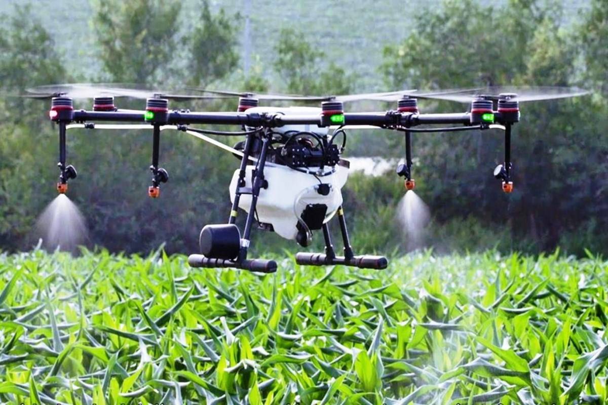 ironía Intolerable postre Pesticides Spraying Using Drones is Illegal, Says Centre