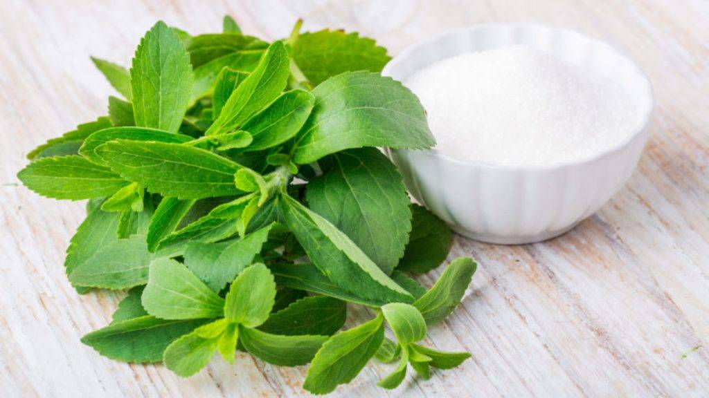 stevia