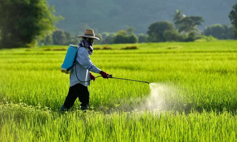 Government to Introduce Bill to Promote Safer Pesticides