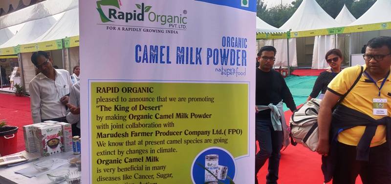 stall-of-rapid-organic