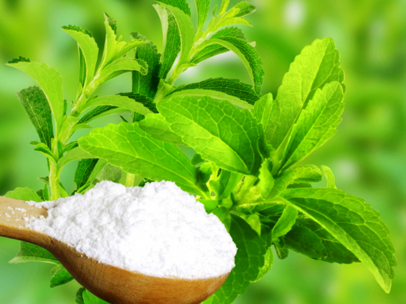 Stevia Safe Alternative