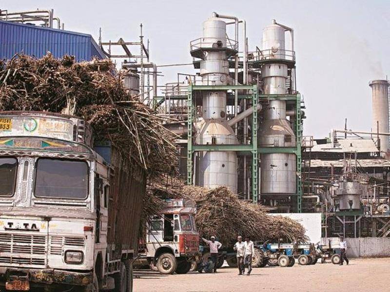 sugar production