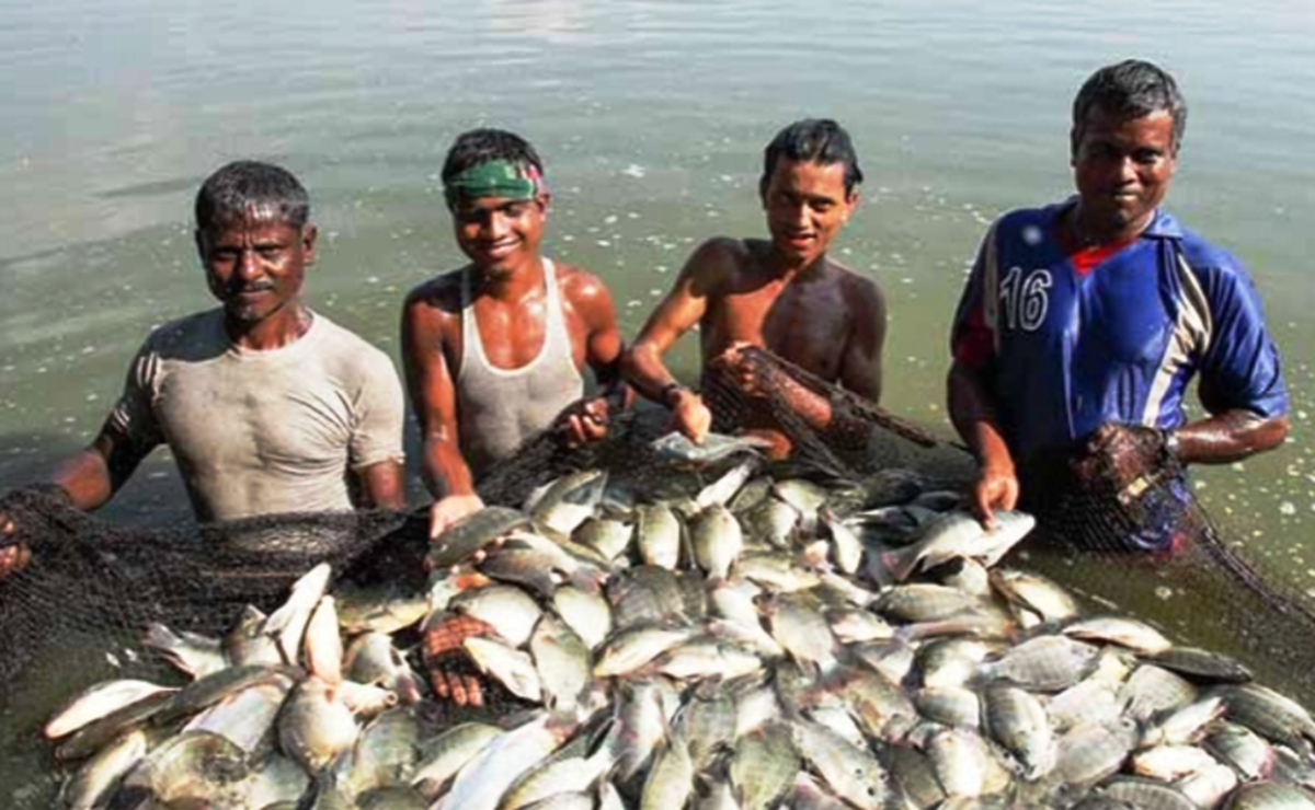 fish farmers