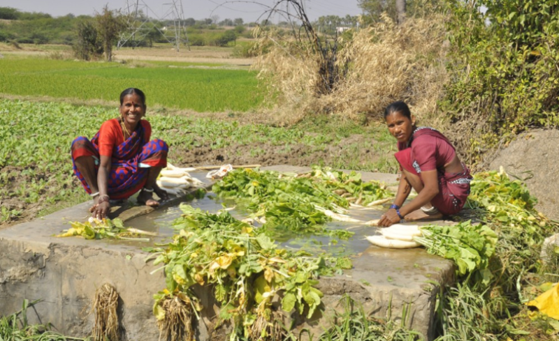 farmers