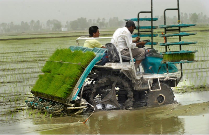 rice planter