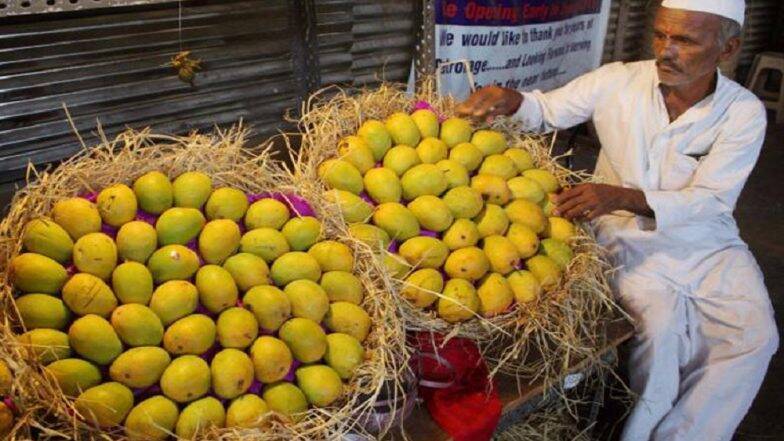 A farmer with his cultivated mangoes