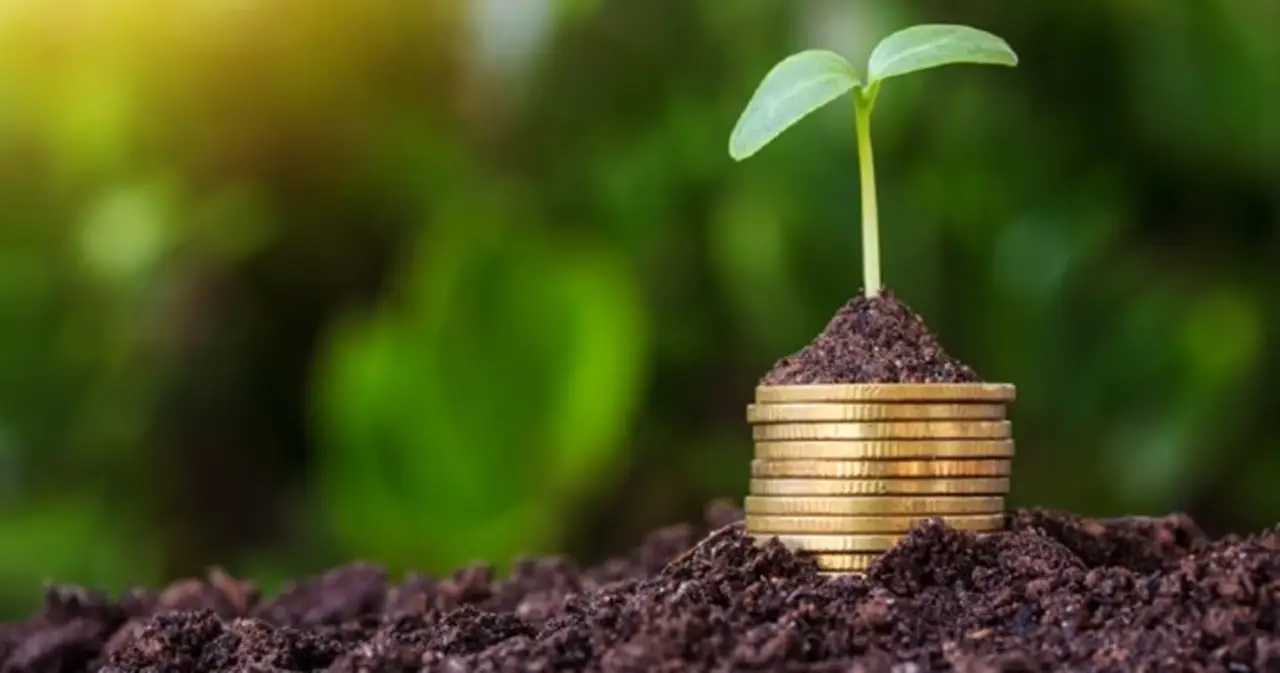 Profitable Agri-Business Ideas: Start These 5 Businesses and Earn up to  Lakhs