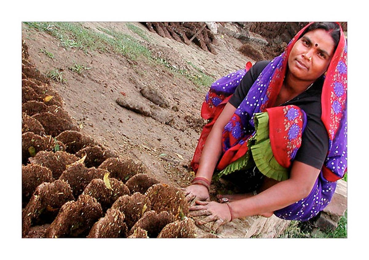 Woman Engaged In Cow Dung Business