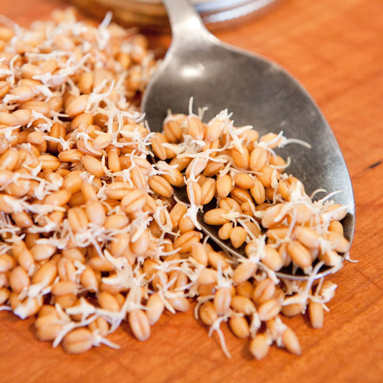 Five Reasons Why You Should Add Wheat Sprouts In Your Diet