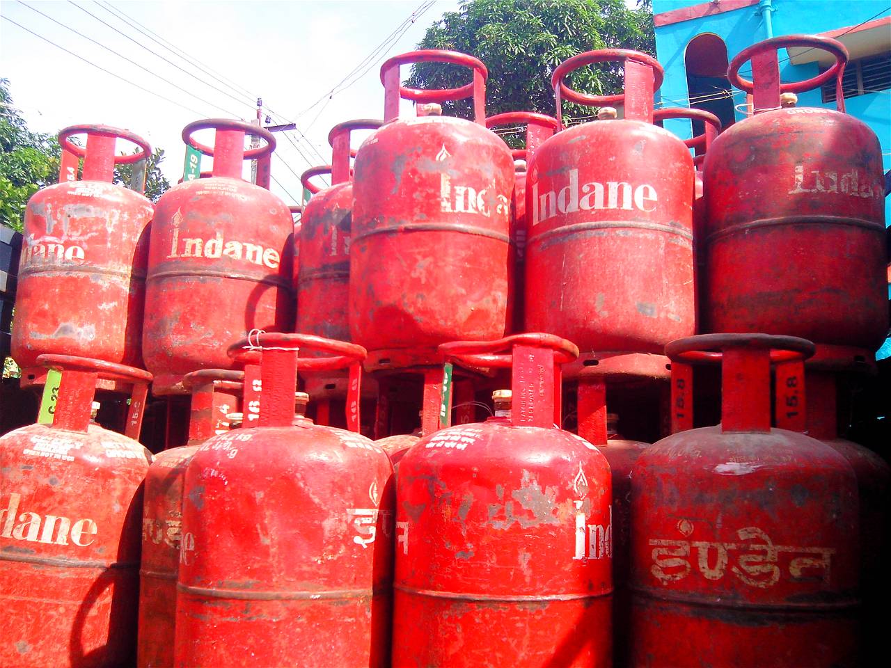 6-new-economic-policy-class-12-appraisal-of-lpg-policy-demerits