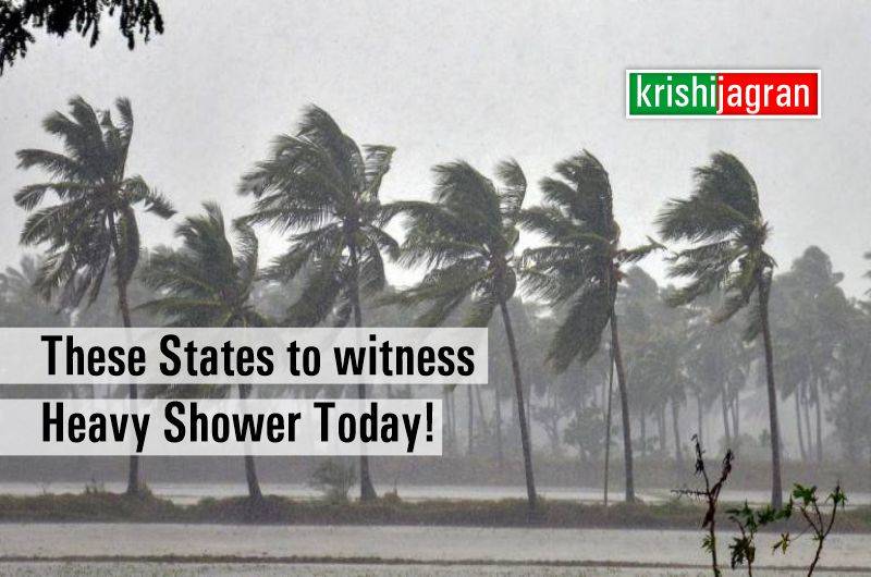 Weather Alert! Gusty Winds & Heavy Rainfall To Lash Over Coastal India ...