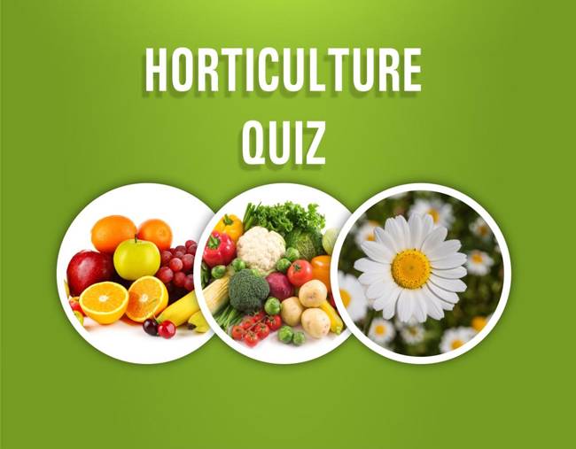 Horticulture 