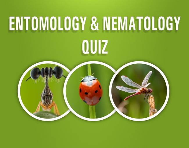 Entomology and Nematology 