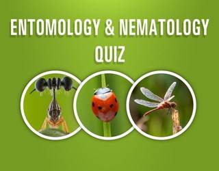 Entomology and Nematology 