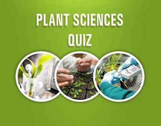 Plant Sciences 