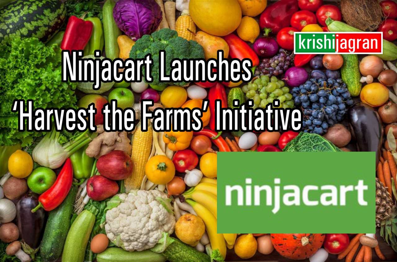 Ninjacart Allows Farmer To Sell Their Vegetables & Fruits Directly To ...