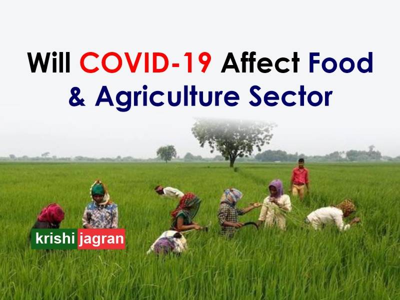 How COVID-19 Pandemic Shall Influence Agriculture Sector, Global Food ...