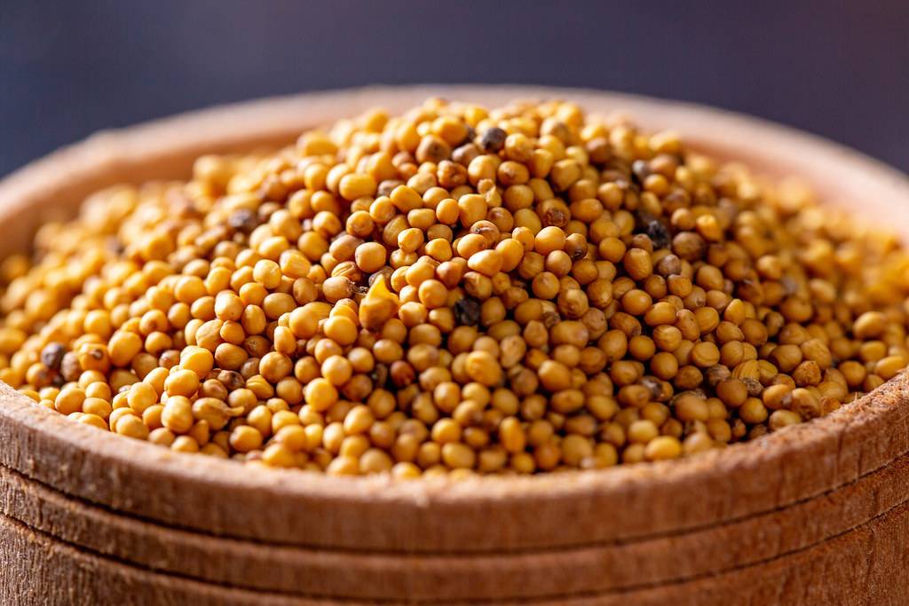 Mustard Seeds In The Bowl