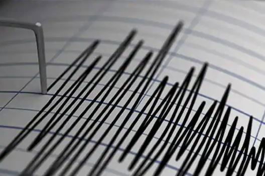 Earthquake in Delhi, Low-intensity Tremors Felt in the National Capital