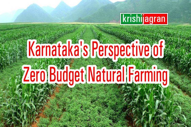 Zero Budget Natural Farming: Karnataka Perspective