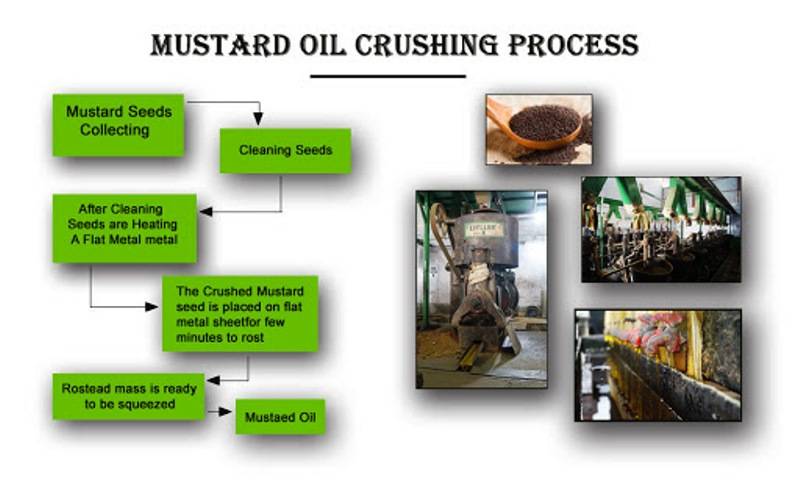Mustard oil crushing process