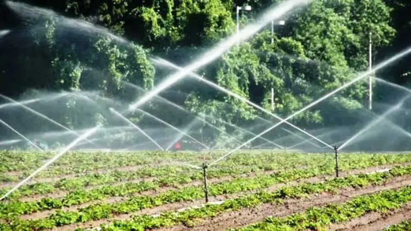 Sprinkler Irrigation: A Potential Micro-irrigation System for Increased Crop Production