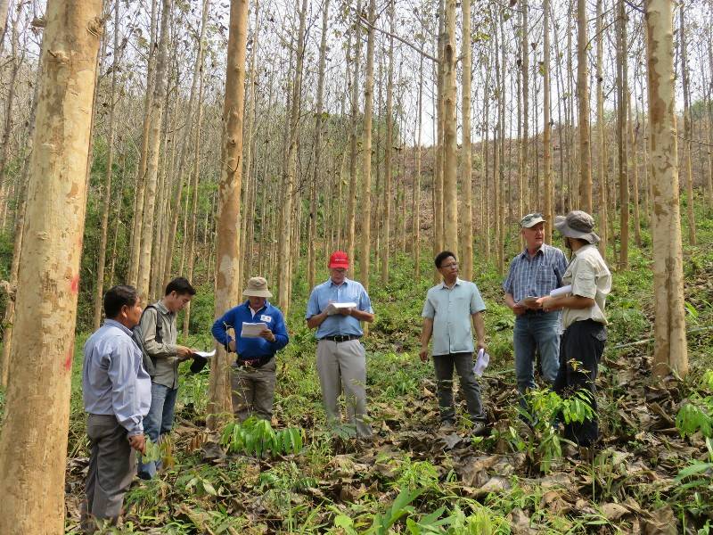 Experts observing the field