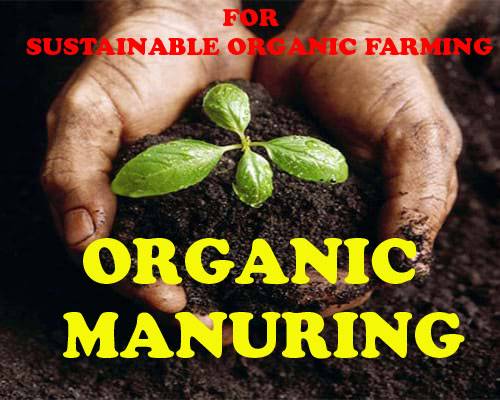 What Constitutes ORGANIC MANURE