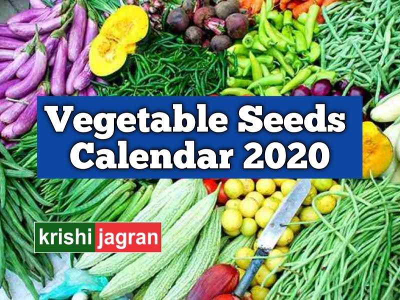Vegetable Seed Sowing Calendar 20202021 for Farmers