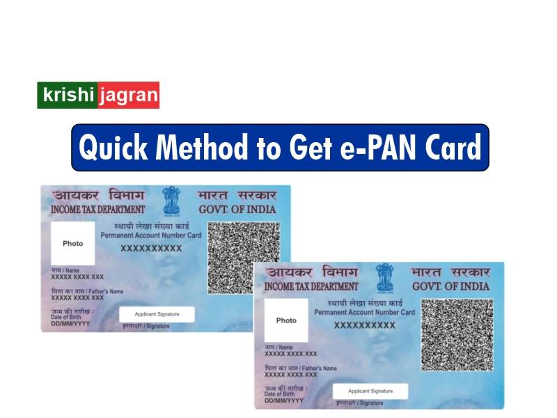 can we get soft copy of pan card online