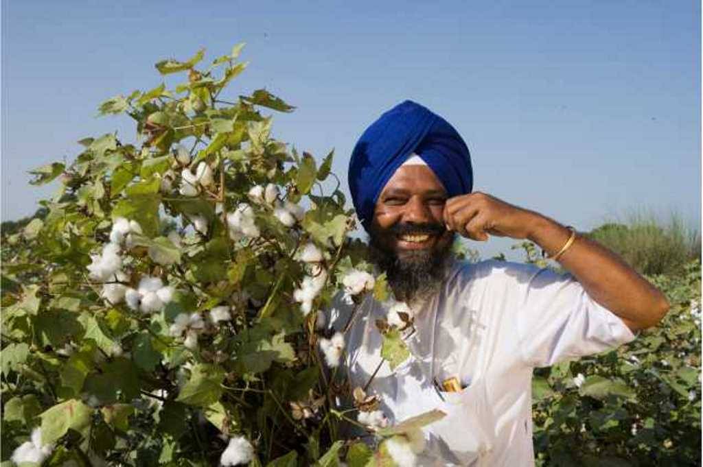 India Struggling in Sustainable Cotton Production, says Textile