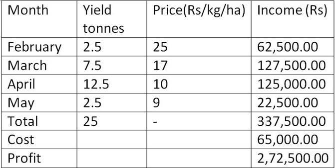 Table - Economics of DS cultivation (Rs. / ha)