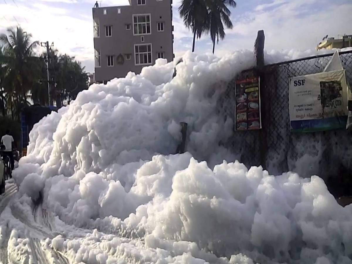 Bangalore Lake