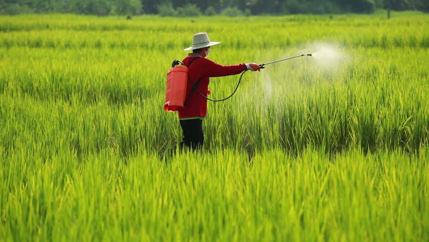 banned pesticides