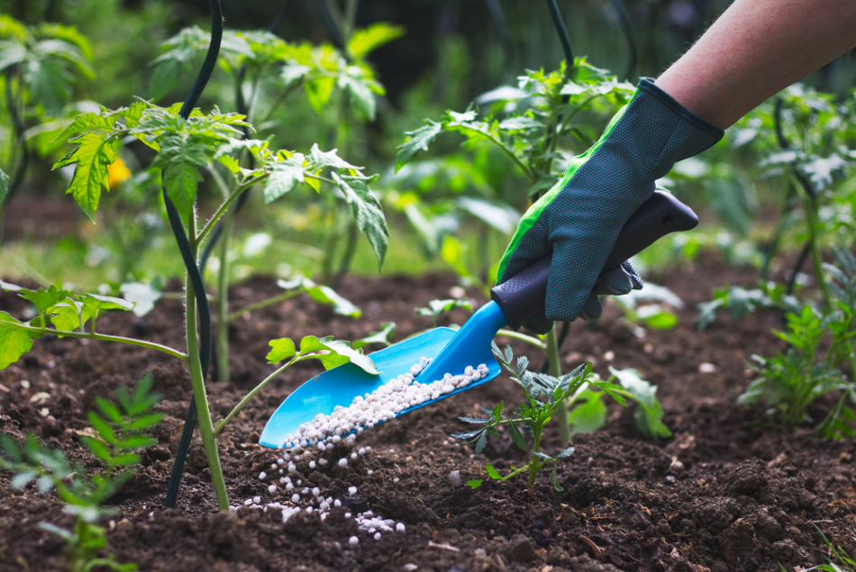 banned pesticides in Punjab