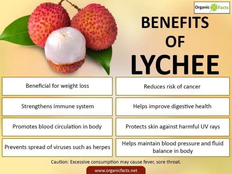 Litchi Health Benefits Weight Loss To Beautiful Skin